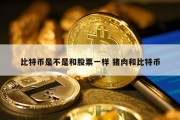 比特币是不是和股票一样 猪肉和比特币