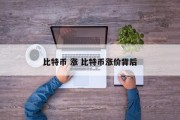 比特币 涨 比特币涨价背后