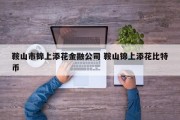 鞍山市锦上添花金融公司 鞍山锦上添花比特币