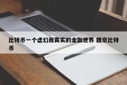 比特币一个虚幻而真实的金融世界 魏京比特币